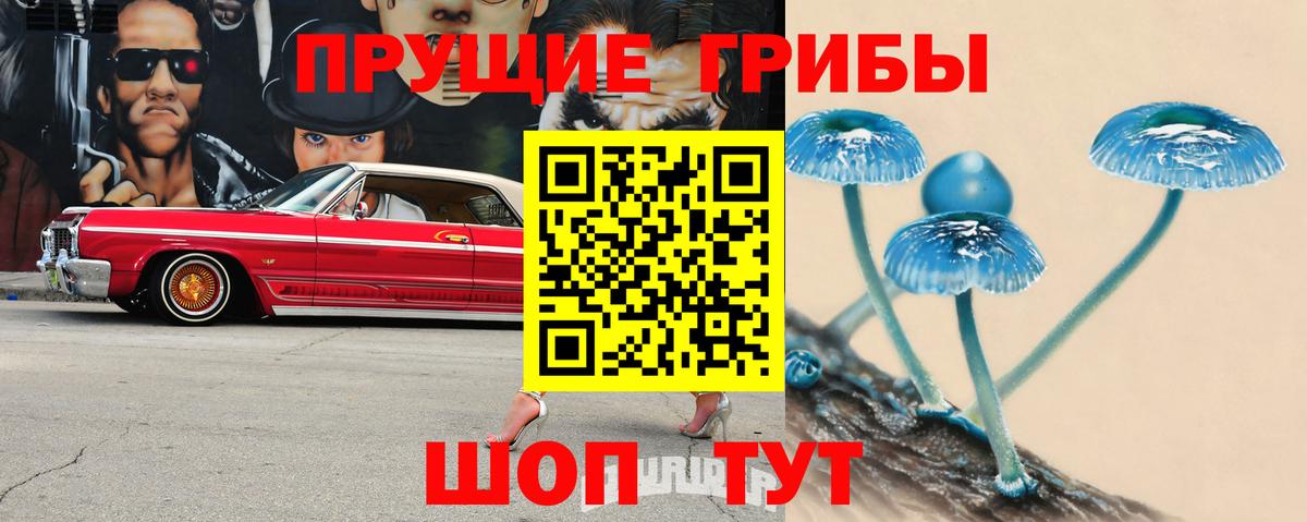 Галлюциногенные грибы мухоморы Малоярославец