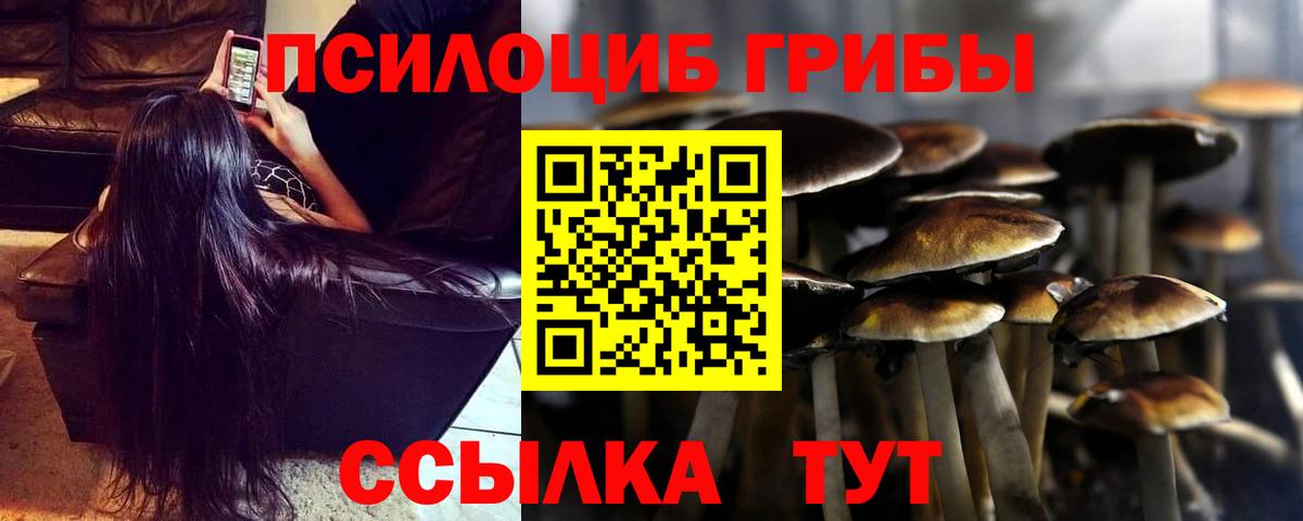 Псилоцибиновые грибы ЛСД  Вход с VPN  Малоярославец 